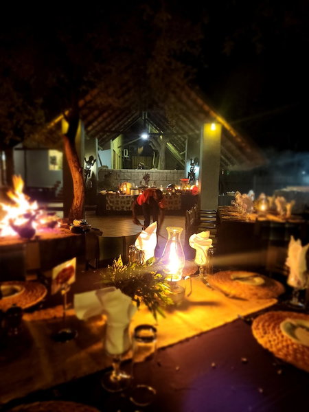 Karongwe- Shiduli Safari Lodge, Hoedspruit, South Africa