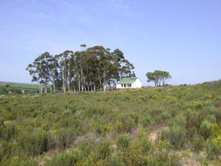 Infinity farm, Riversdale, South Africa