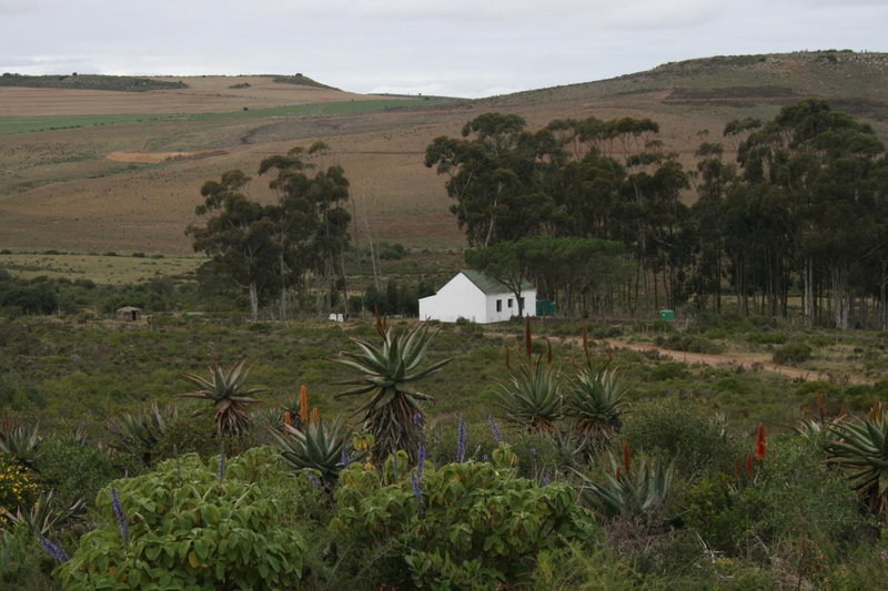 Infinity farm, Riversdale, South Africa