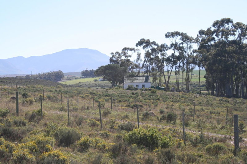 Infinity farm, Riversdale, South Africa