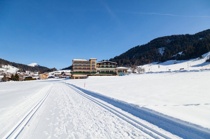 Hotel Harfenwirt, Niederau, Austria
