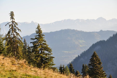 Pension Posauner, Dorfgastein, Austria