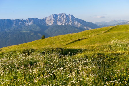 Sattleggers Alpenhof & Feriensternwarte, Berg im Drautal, Austria