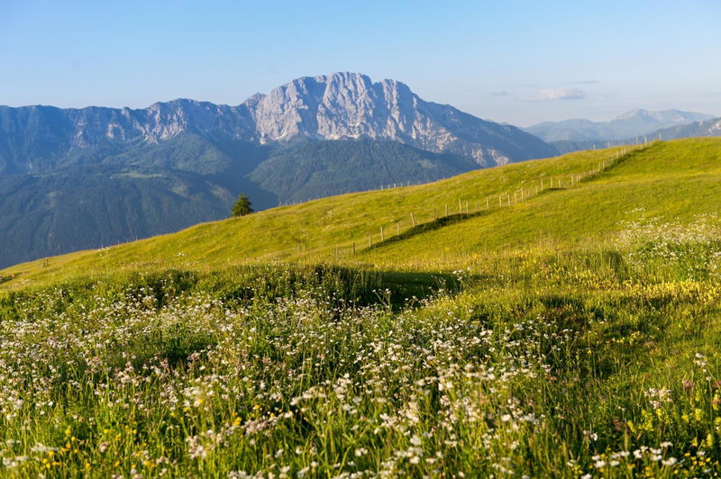 Sattleggers Alpenhof & Feriensternwarte, Berg im Drautal, Austria