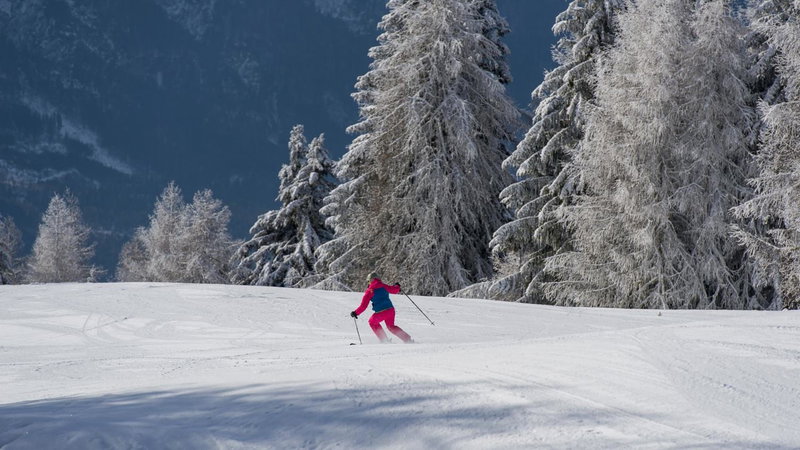 Sattleggers Alpenhof & Feriensternwarte, Berg im Drautal, Austria