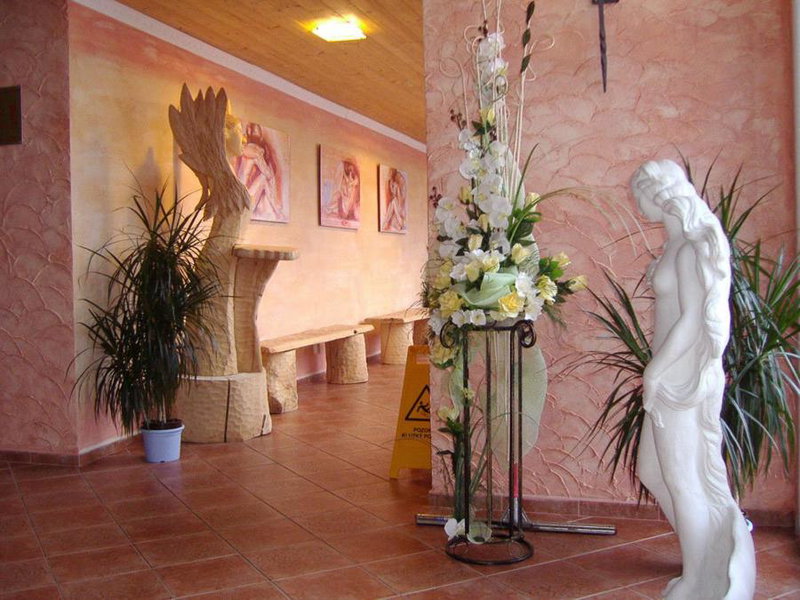 Wellness Hotel Bahenec, Bahenec, Czechia