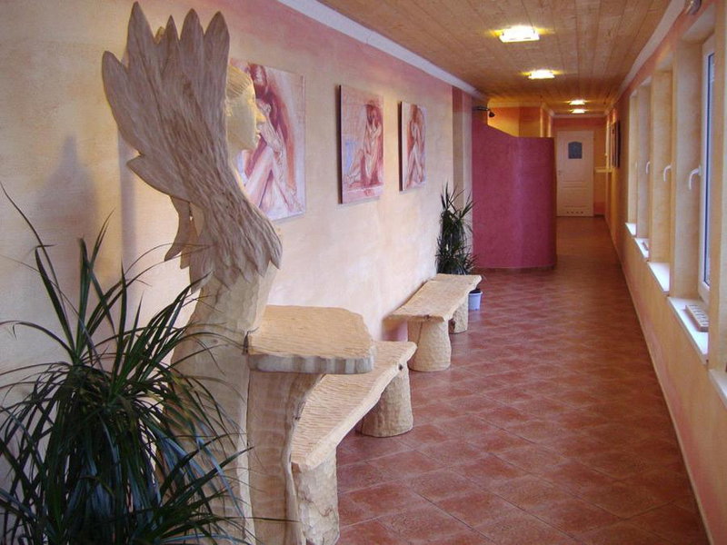 Wellness Hotel Bahenec, Bahenec, Czechia