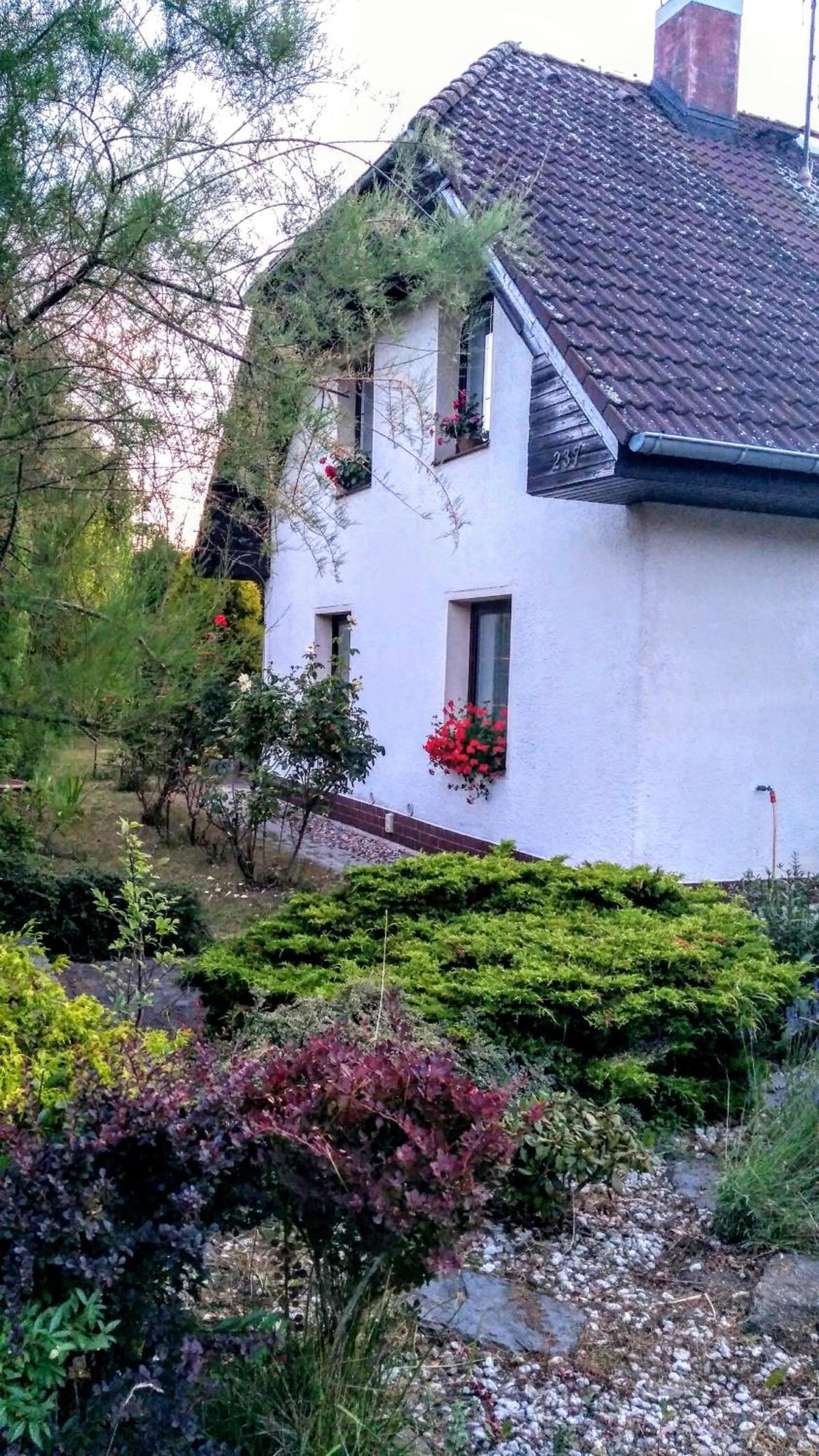 Vila v Podkrušnohoří, Czechia
