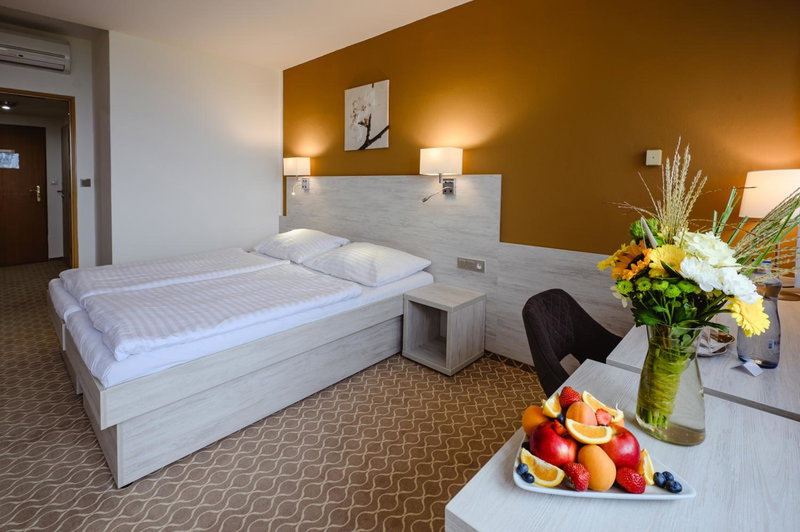 Hotel Vega Luhacovice, Luhačovice, Czechia