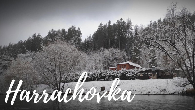 Lesní Restaurace Harrachovka, Tábor, Czechia