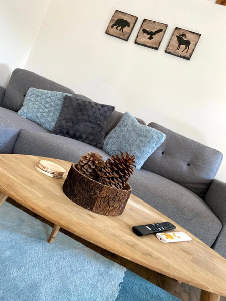 Apartmán Mladé Buky, Mladé Buky, Czechia