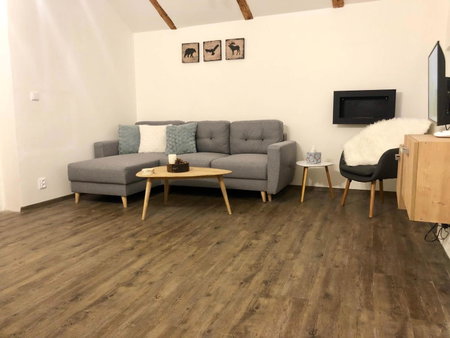 Apartmán Mladé Buky, Mladé Buky, Czechia