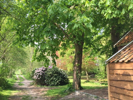 Veenhoes, Vriescheloo, The Netherlands