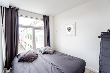 Papillon flat, Zandvoort, The Netherlands