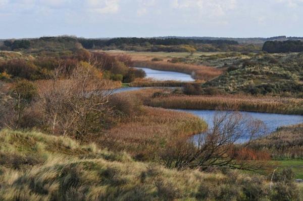 Papillon flat, Zandvoort, The Netherlands