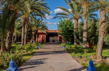 Las Palmeras, Marrakech, Morocco