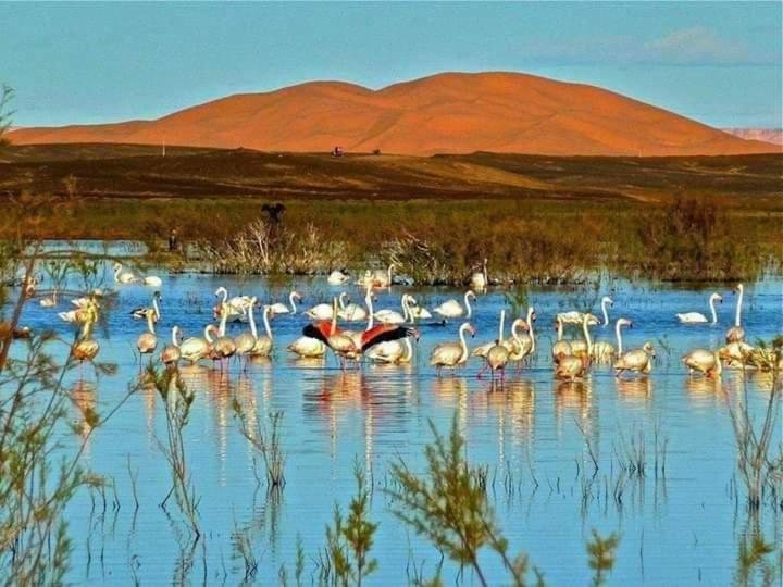 Ammar Luxury Camp, Merzouga, Morocco