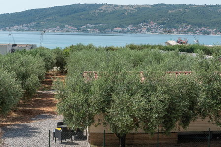 'Olive grove' Camping House-near the beach, Divulje, Croatia