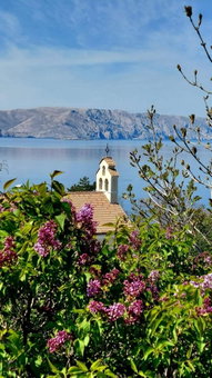 Apartman JAGODA, Senj, Croatia