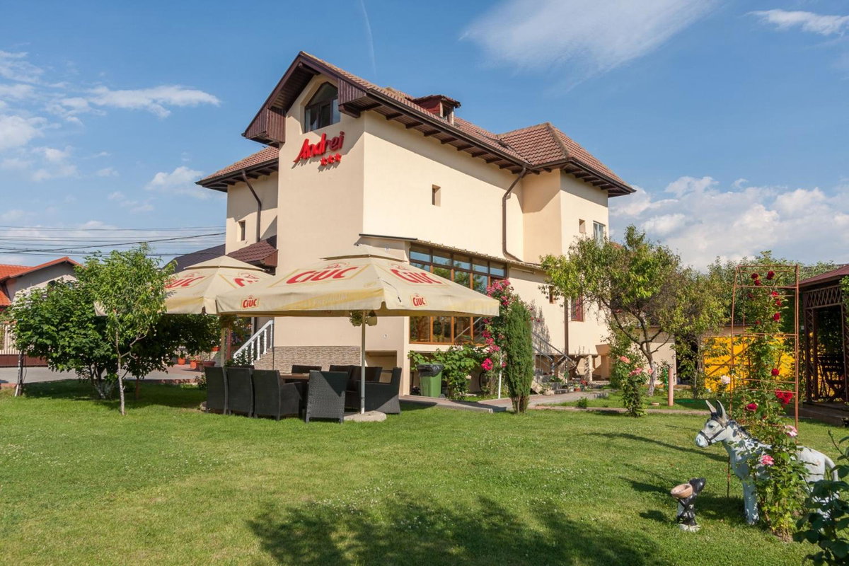 Pensiunea ANDREI OCNELE MARI, Romania