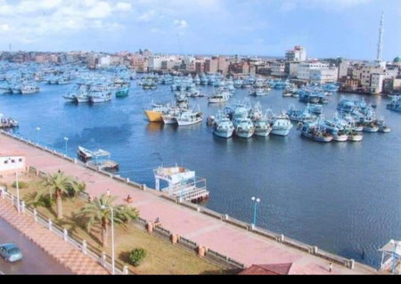 العربية العالمية للسياحة و الرحلات شقق فندقية فاخرة برأس البر, ‘Izbat al Burj, Egypt