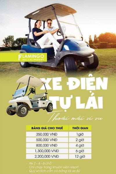 Flamigo Dai Lai Resort - Happy Villa, Ngọc Quang, Vietnam