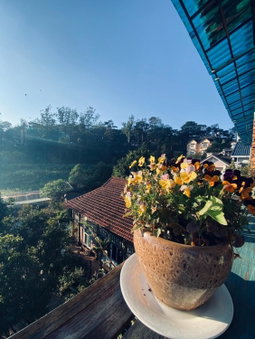 Memory Villa, Da Lat, Vietnam