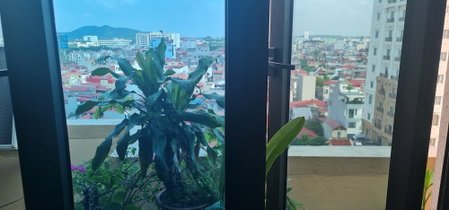 Violin Bac Ninh Hotel, Bac Ninh, Vietnam