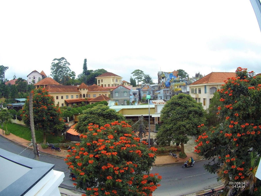 Flower Hill, Da Lat, Vietnam