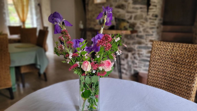 Manoir des Pélies, Conques, France