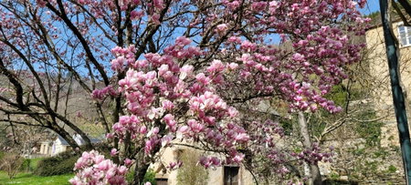 Manoir des Pélies, Conques, France