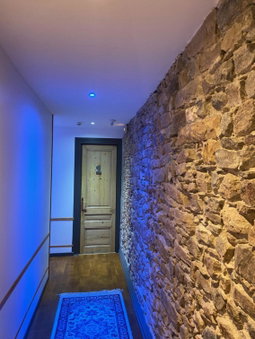 Hôtel Le Boulevardier, Lyon, France