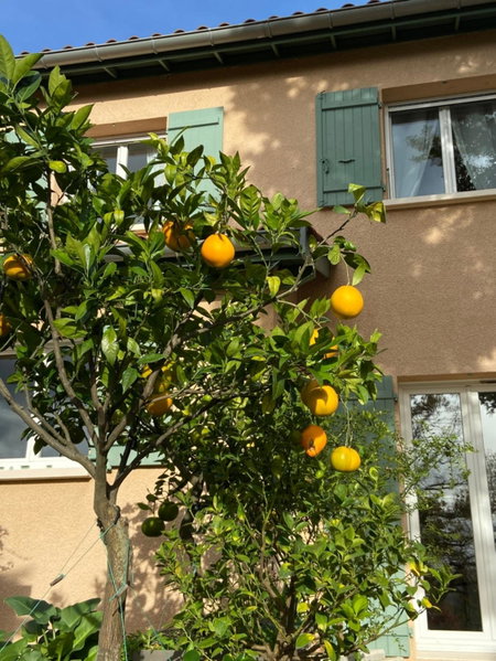 Le Relais des Malettes Chambres d'hôtes B&B, Francheville, France