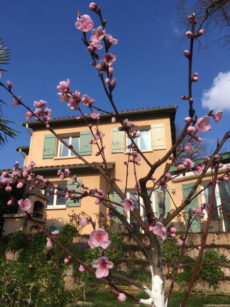 Le Relais des Malettes Chambres d'hôtes B&B, Francheville, France
