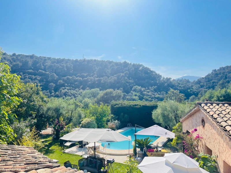 Abeille, Vence, France