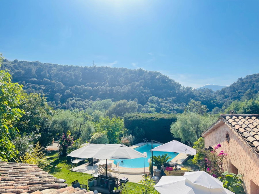 Abeille, Vence, France
