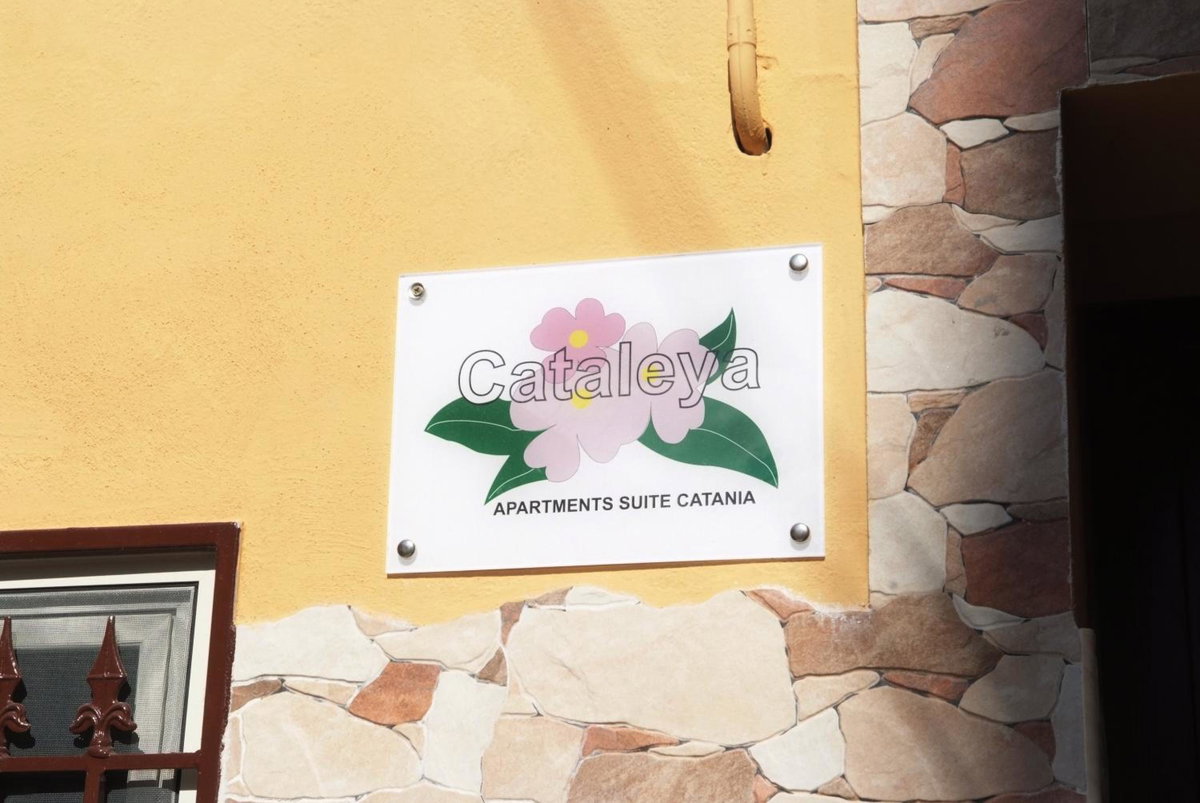 Cataleya, Италия