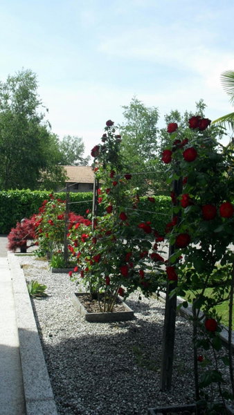 Albergo Residence Isotta, Veruno, Italy