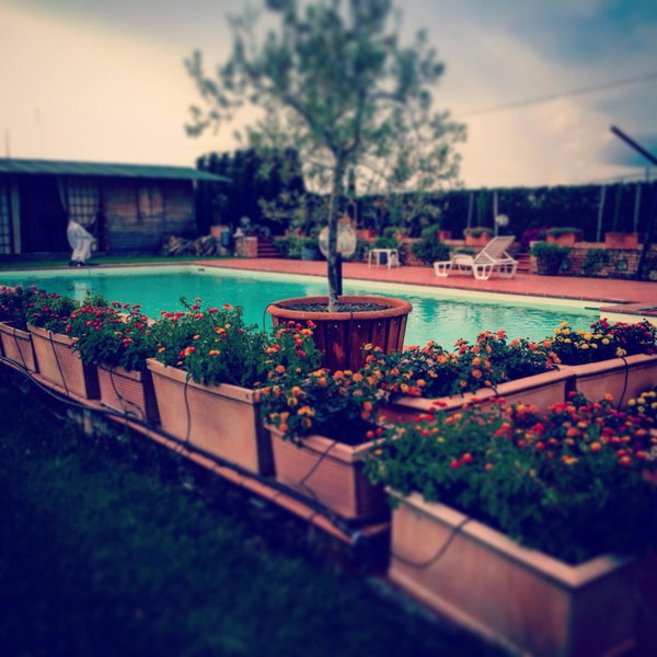 Agriturismo "Le Rondinelle", Valiano, Italy