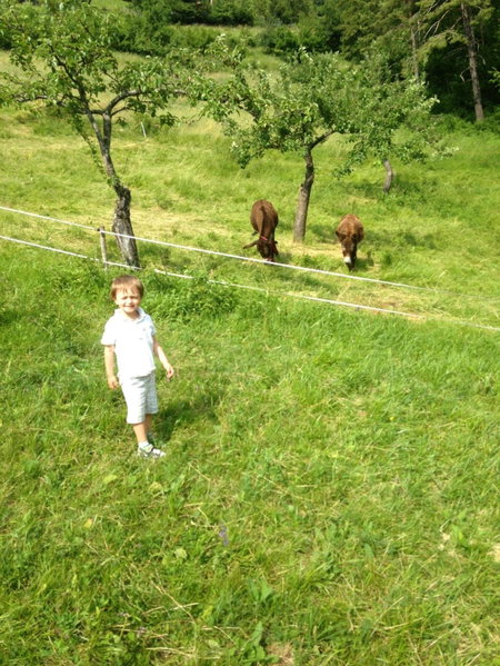 Relais Fior di Bosco, Folgaria, Italy