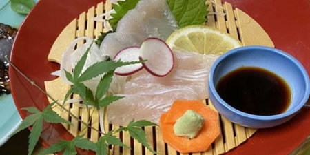 Guest House Gifuhashima COCONE - Hostel, Hashima, Japan