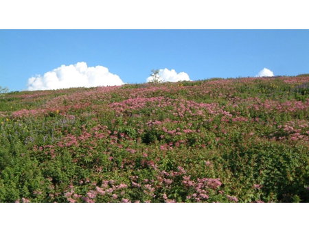 Greenpark Santo - Vacation STAY 06784v, Maibara, Japan
