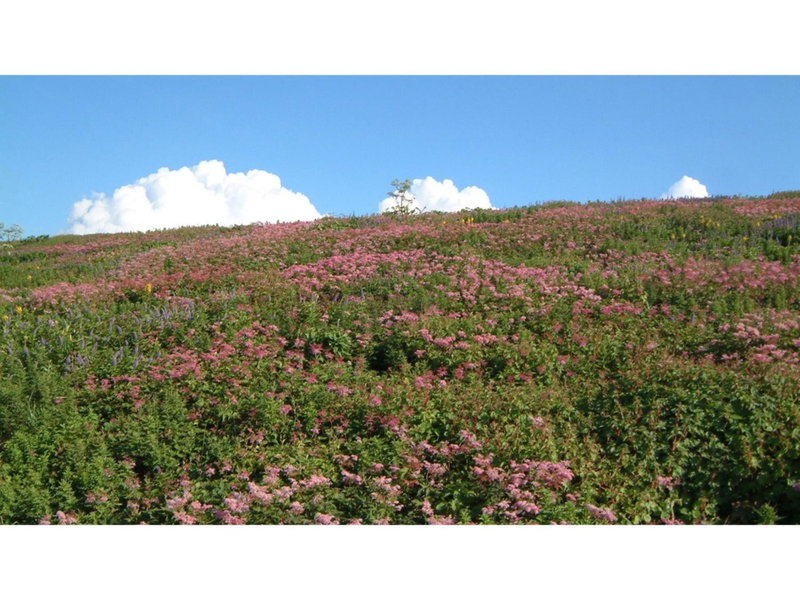 Greenpark Santo - Vacation STAY 06784v, Maibara, Japan