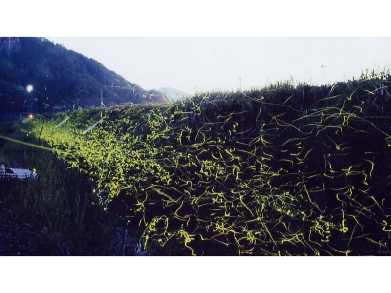 Greenpark Santo - Vacation STAY 06784v, Maibara, Japan