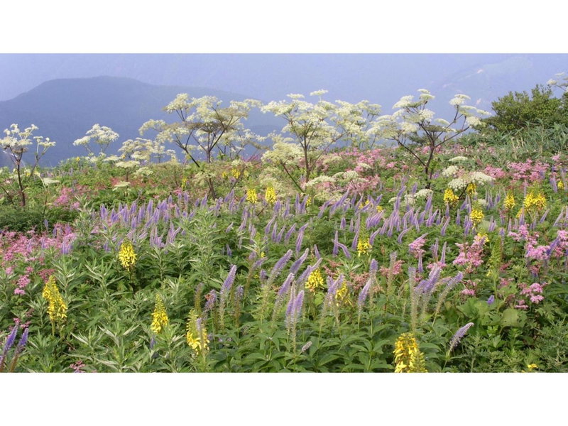 Greenpark Santo - Vacation STAY 06784v, Maibara, Japan