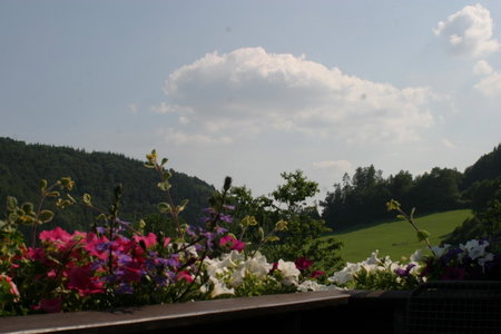 Pension Haus Liesertal, Üdersdorf, Germany