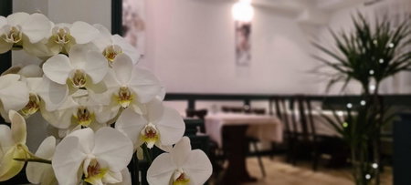 Hotel Lamm, Stuttgart, Germany