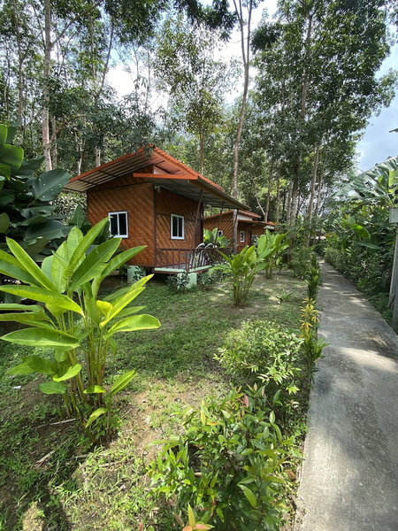 Khaosok Bamboo Huts Resort, Phanom, Thailand