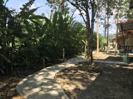 Khaosok Bamboo Huts Resort, Phanom, Thailand