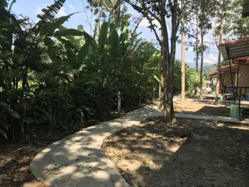 Khaosok Bamboo Huts Resort, Phanom, Thailand